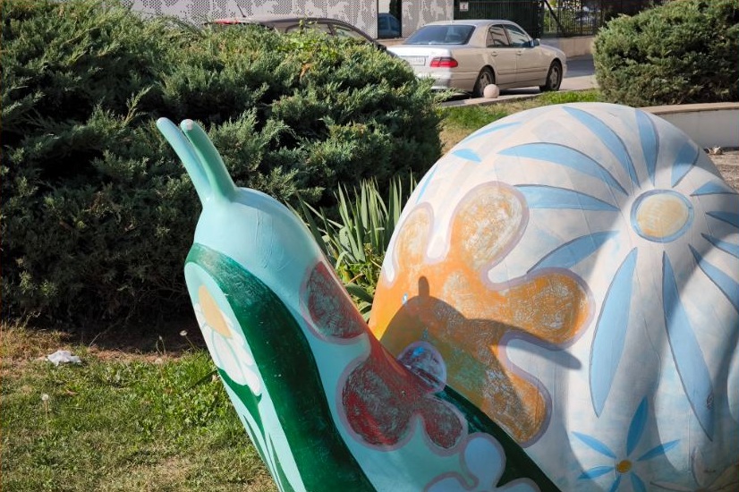 تصویر عکس‌برداری شده با دوربین تله‌فوتو گوشی شیائومی 13T Pro