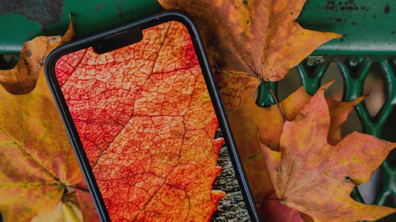 آیفون 13 پرو