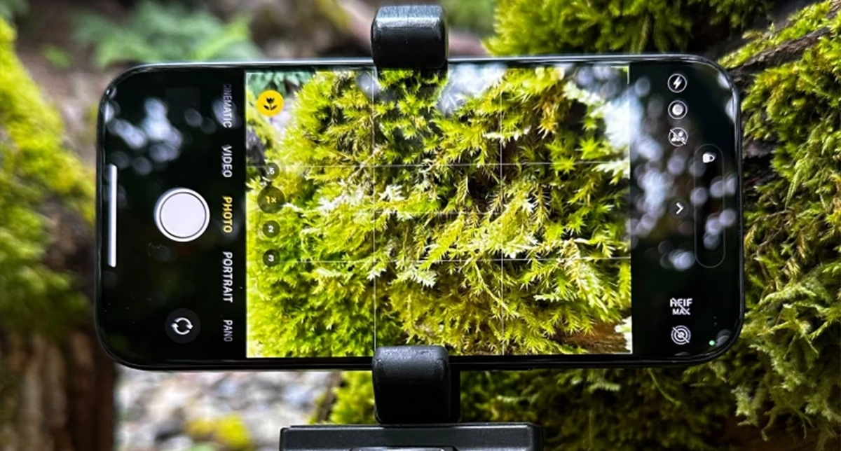 نمایش کیفیت دوربین گوشی آیفون 15