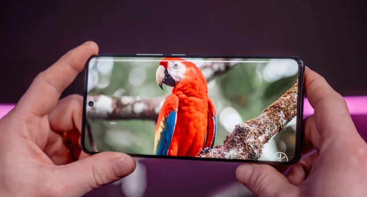 نمایش کیفیت تصویر در نمایشگر گوشی شیائومی ردمی نوت 14 پرو 4G