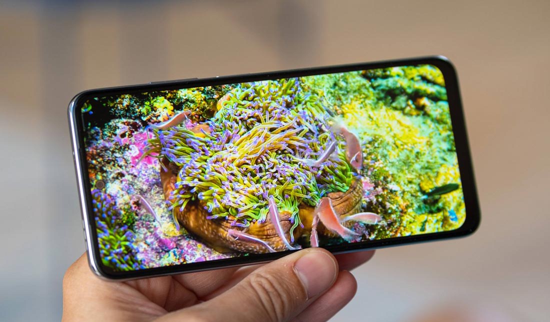 نمایش کیفیت نمایشگر گوشی پوکو m5s از نمای نزدیک در دست انسان