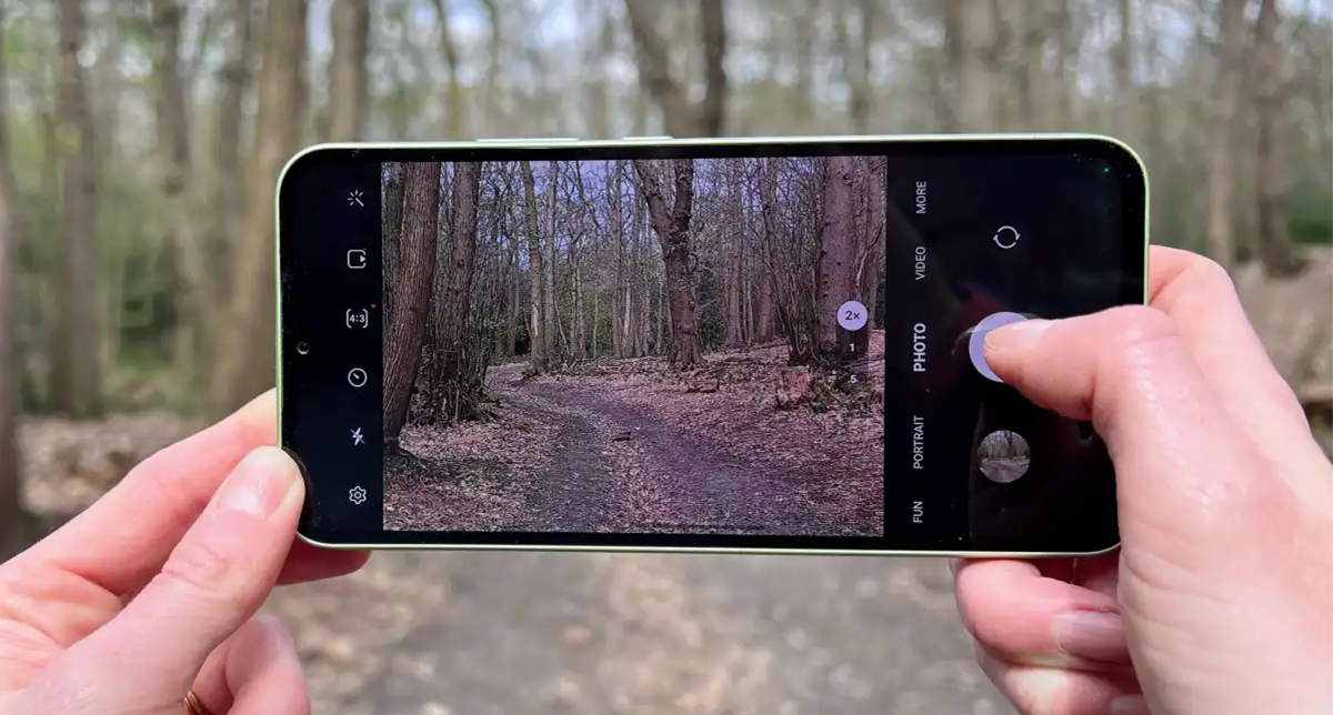 نمایش کیفیت دوربین گوشی سامسونگ گلکسی A34 در عکاسی از طبیعت