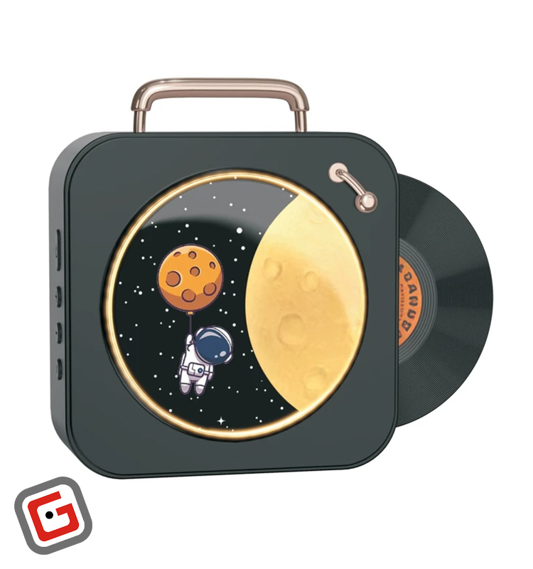 اسپیکر قابل حمل پرووان مدل PSB4809