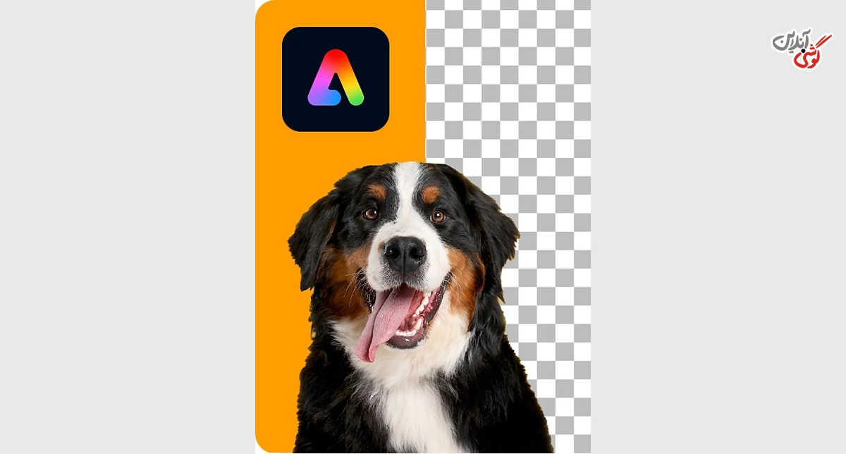تصویری مرتبط با حذف پس‌زمینه عکس با هوش مصنوعی Adobe Express